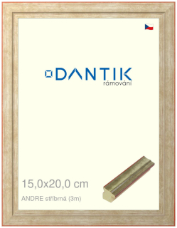 DANTIK rám na obraz 15x20 | ANDRE stříbrná (Sklo Čiré)