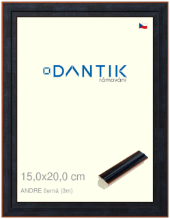 DANTIK rám na obraz 15x20 | ANDRE černá (Sklo Čiré)