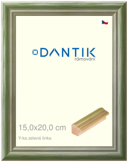 DANTIK rám na obraz 15x20 | Y-ka zelená linka (Sklo Čiré)