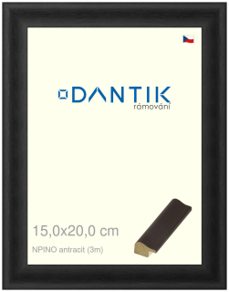 DANTIK rám na obraz 15x20 | NPINO antracit (Sklo Čiré)