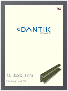 DANTIK rám na obraz 15x20 | ALU Platina matná (Sklo Čiré)