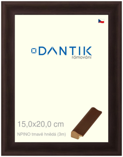 DANTIK rám na obraz 15x20 | NPINO tmavě hnědá (Sklo Čiré)