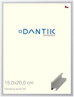 DANTIK rám na obraz 15x20 | ALU Stříbrná matná (Sklo Čiré)
