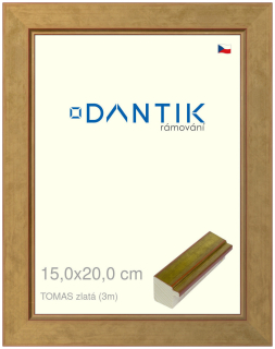 DANTIK rám na obraz 15x20 | TOMAS zlatá (Sklo Čiré)