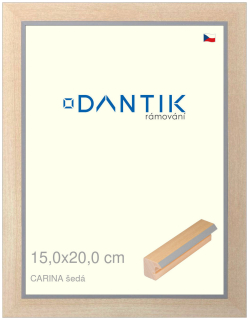 DANTIK rám na obraz 15x20 | CARINA šedá (Sklo Čiré)