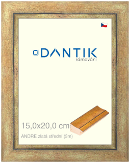 DANTIK rám na obraz 15x20 | ANDRE zlatá střední (Sklo Čiré)