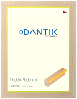 DANTIK rám na obraz 15x20 | CARINA žlutá (Sklo Čiré)