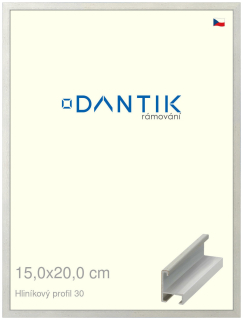 DANTIK rám na obraz 15x20 | ALU Dýha barevná šedá světlá (Sklo Čiré)