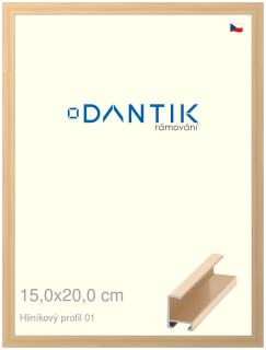 DANTIK rám na obraz 15x20 | ALU Zlatá lesklá (Sklo Čiré)
