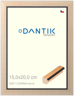 DANTIK rám na obraz 15x20 | CARINA černá (Sklo Čiré)