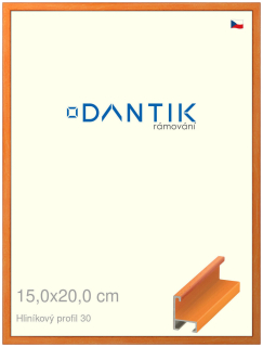DANTIK rám na obraz 15x20 | ALU Dýha barevná oranžová (Sklo Čiré)