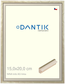 DANTIK rám na obraz 15x20 | NINA bílá AGlinka (Sklo Čiré)
