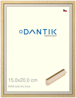 DANTIK rám na obraz 15x20 | NINA bílá AUlinka (Sklo Čiré)