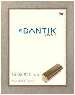 DANTIK rám na obraz 15x20 | TOMAS stříbrná (Sklo Čiré)