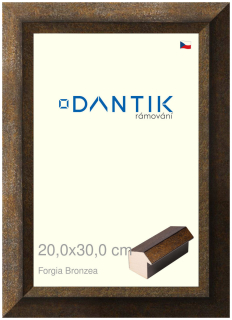 DANTIK rám na obraz 20x30 | Forgia Bronzea (Sklo Čiré)