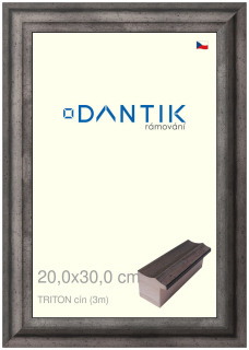 DANTIK rám na obraz 20x30 | TRITON cín (Sklo Čiré)