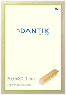 DANTIK rám na obraz 20x30 | CARINAzelená (Sklo Čiré)