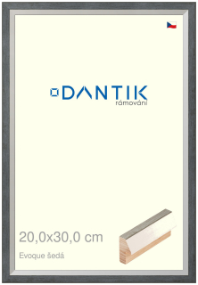 DANTIK rám na obraz 20x30 | EVOQUE šedá (Sklo Čiré)