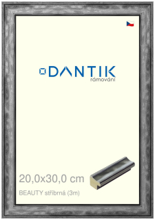 DANTIK rám na obraz 20x30 | BEAUTY stříbrná (Sklo Čiré)