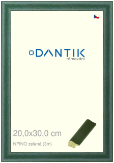 DANTIK rám na obraz 20x30 | NPINO zelená (Sklo Čiré)