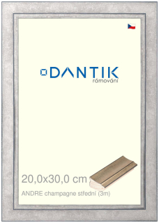 DANTIK rám na obraz 20x30 | ANDRE champagne střední (Sklo Čiré)