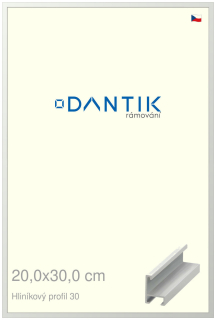 DANTIK rám na obraz 20x30 | ALU Bílá matná (Sklo Čiré)