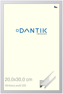 DANTIK rám na obraz 20x30 | ALU Bílá matná (Sklo Čiré)