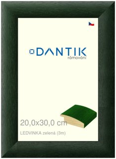 DANTIK rám na obraz 20x30 | LEDVINKA zelená (Sklo Čiré)
