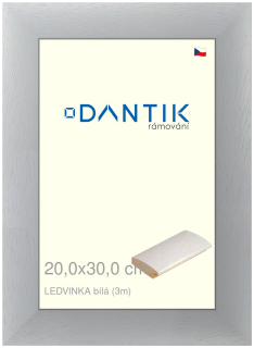 DANTIK rám na obraz 20x30 | LEDVINKA bílá (Sklo Čiré)