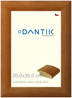 DANTIK rám na obraz 20x30 | LEDVINKA světle hnědá (Sklo Čiré)