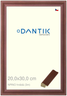 DANTIK rám na obraz 20x30 | NPINO hnědá (Sklo Čiré)
