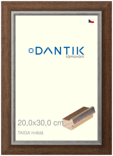 DANTIK rám na obraz 20x30 | TAIGA hnědá (Sklo Čiré)