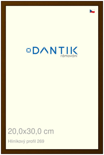 DANTIK rám na obraz 20x30 | ALU Hnědá umbra broušená (Sklo Čiré)