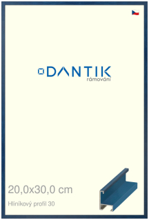 DANTIK rám na obraz 20x30 | ALU Dýha barevná modrá královská (Sklo Čiré)