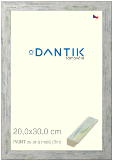 DANTIK rám na obraz 20x30 | PAINT zelená malá (Sklo Čiré)