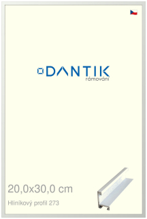 DANTIK rám na obraz 20x30 | ALU Bílá matná (Sklo Čiré)