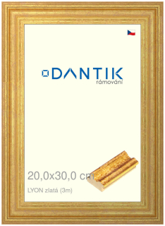DANTIK rám na obraz 20x30 | LYON zlatá (Sklo Čiré)