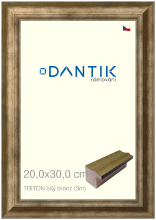 DANTIK rám na obraz 20x30 | TRITON bílý bronz (Sklo Čiré)