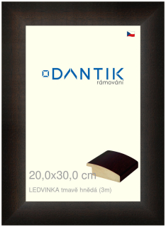 DANTIK rám na obraz 20x30 | LEDVINKA tmavě hnědá (Sklo Čiré)