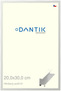 DANTIK rám na obraz 20x30 | ALU Stříbrná lesklá (Sklo Čiré)