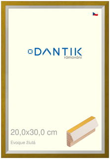 DANTIK rám na obraz 20x30 | EVOQUE žlutá (Sklo Čiré)