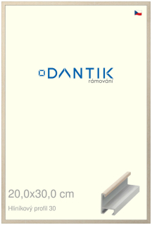 DANTIK rám na obraz 20x30 | ALU Dýha slovnová kost (Sklo Čiré)