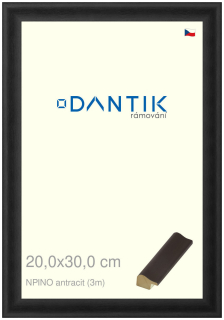 DANTIK rám na obraz 20x30 | NPINO antracit (Sklo Čiré)