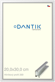 DANTIK rám na obraz 20x30 | ALU Stříbrná lesklá (Sklo Čiré)