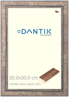 DANTIK rám na obraz 20x30 | ANDRE bronz střední (Sklo Čiré)