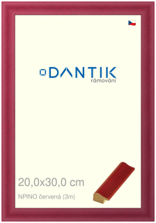 DANTIK rám na obraz 20x30 | NPINO červená (Sklo Čiré)