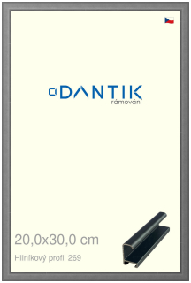 DANTIK rám na obraz 20x30 | ALU Platina matná (Sklo Čiré)