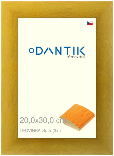 DANTIK rám na obraz 20x30 | LEDVINKA žlutá (Sklo Čiré)