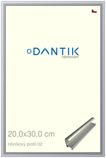 DANTIK rám na obraz 20x30 | ALU Stříbrná matná (Sklo Čiré)