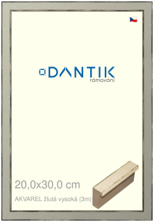 DANTIK rám na obraz 20x30 | AKVAREL žlutá vysoká (Sklo Čiré)